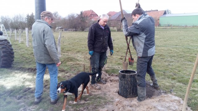 2018 Storchennest(auf)bau in Ausbuettel und Ribbesbuettel 018